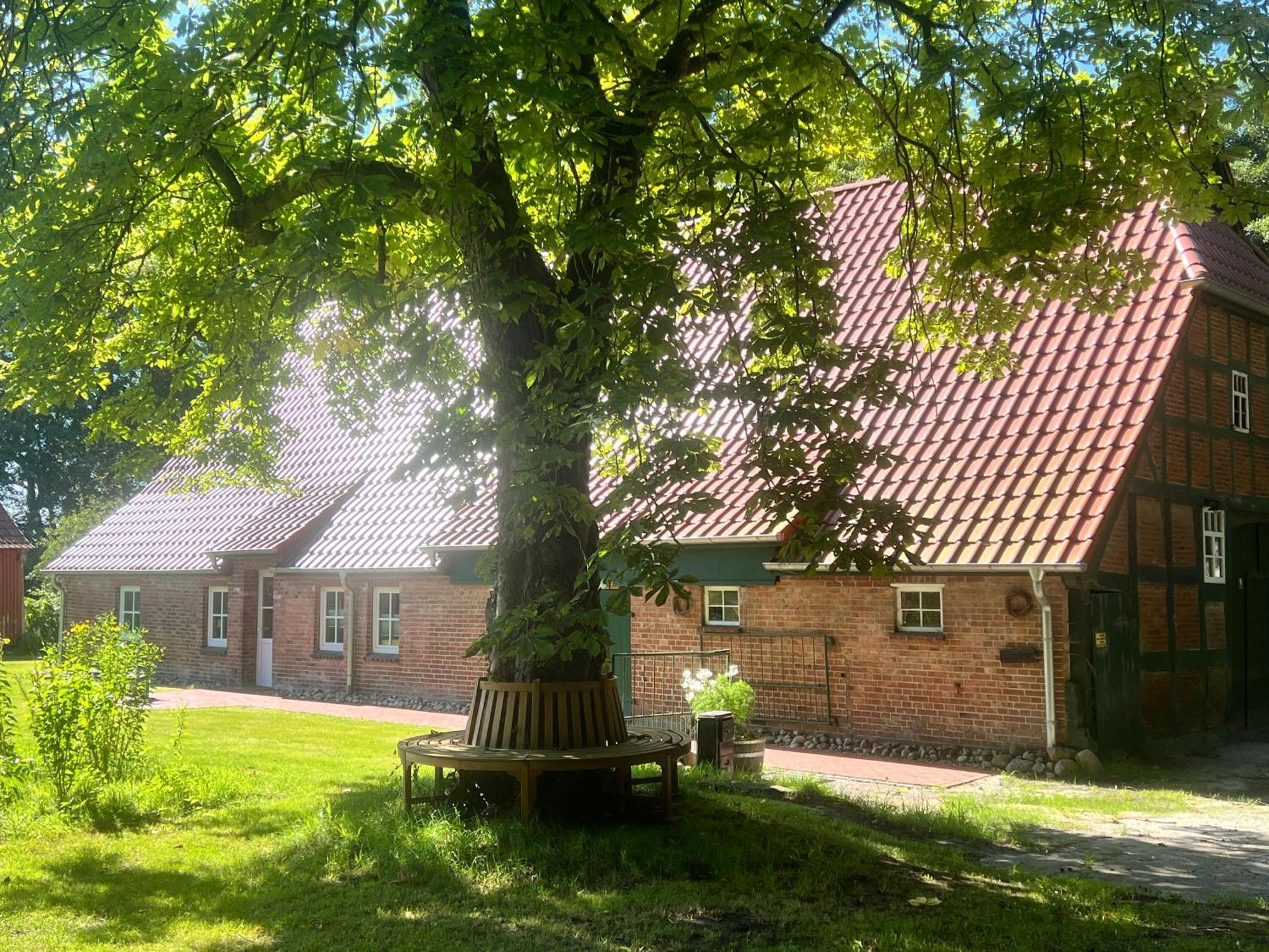 Ferienwohnung Mit Garten In Meyenburg - Keine Monteure Schwanewede Exterior foto